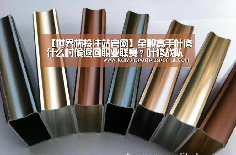 【世界杯投注站官网】全职高手叶修什么时候返回职业联赛?叶修战队是什么?(图1) 世界杯投注站