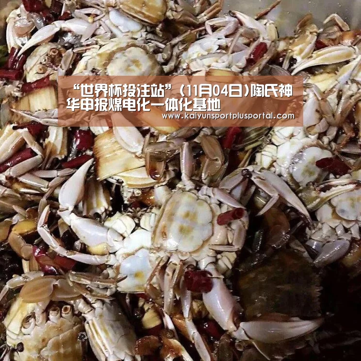 世界杯投注站